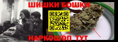 стаф Гатчина