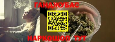 стаф Гатчина