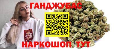 стаф Гатчина