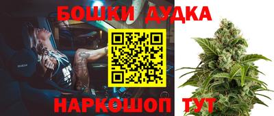 стаф Гатчина
