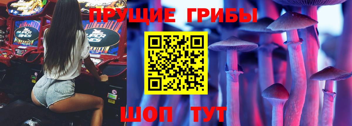 Галлюциногенные грибы мицелий  Вход с VPN  Лесосибирск 